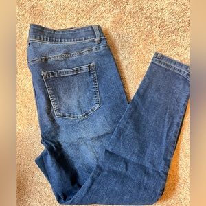 D.jeans size 18W skinny fit